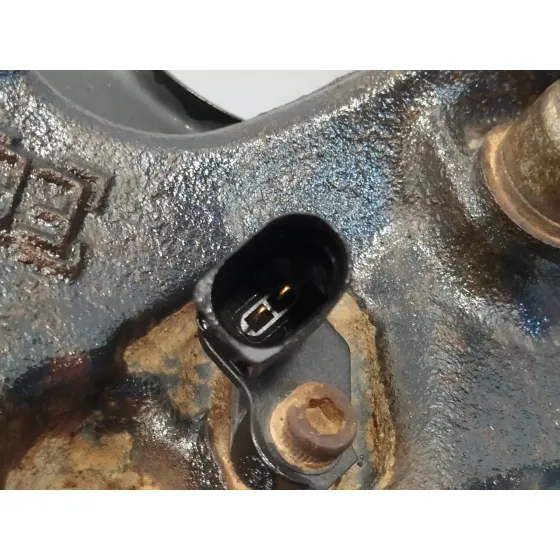 Mangueta Trasera Izquierda para Seat Leon (1P1)