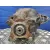Diferencial Trasero para Mercedes-Benz Vito Caja Cerrada 6.03 ->