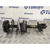 Amortiguador Delantero Izquierdo para Renault Scenic (Ja..)
