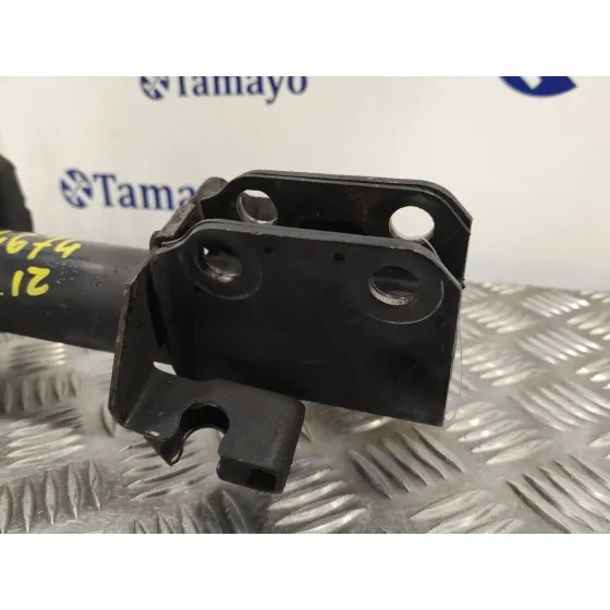 Amortiguador Delantero Izquierdo para Renault Scenic (Ja..)