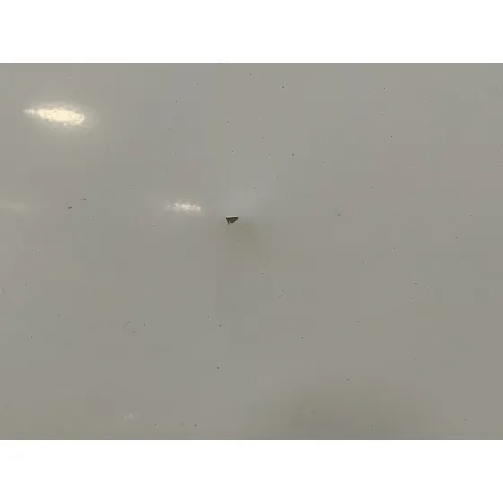 Puerta Lateral Corredera Derecha para Nissan Nv 200 (M20)