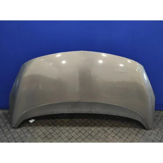 Capot para Opel Meriva B