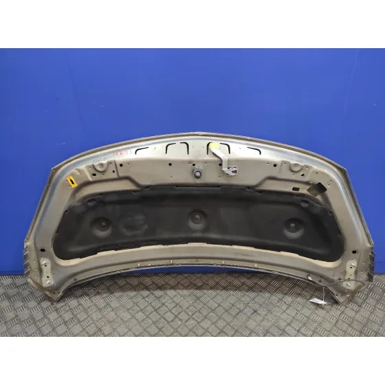 Capot para Opel Meriva B