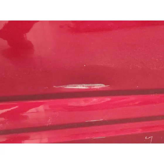 Puerta Delantera Derecha para Citroën Ds3