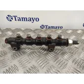 Rampa Inyectora para Peugeot 207