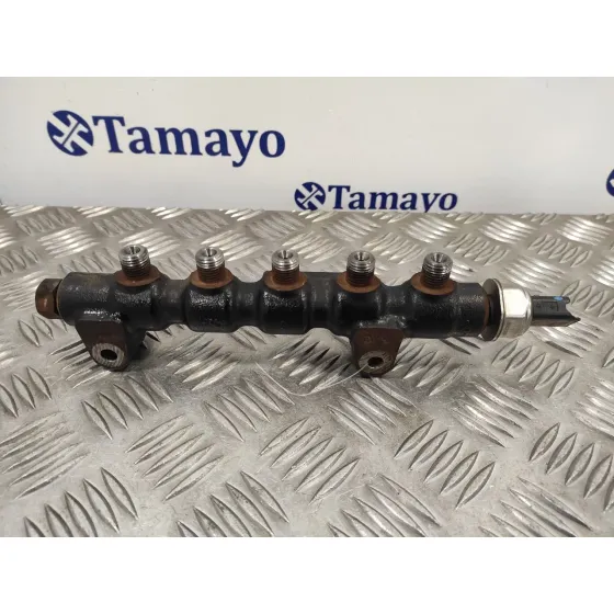 Rampa Inyectora para Peugeot 207