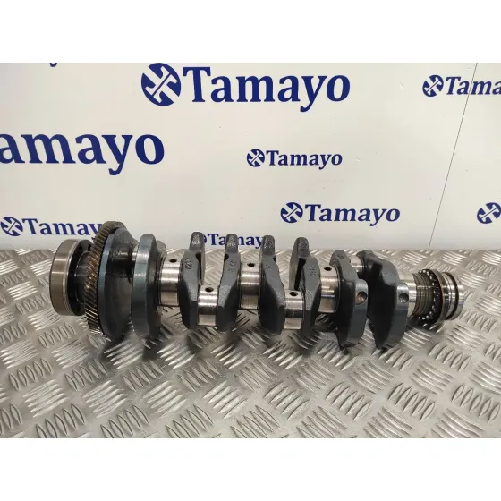 Ciguenal para Bmw Serie 3 Berlina (E46)