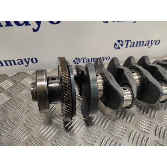 Ciguenal para Bmw Serie 3 Berlina (E46)