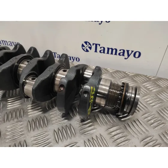 Ciguenal para Bmw Serie 3 Berlina (E46)