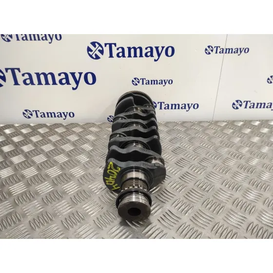 Ciguenal para Bmw Serie 3 Berlina (E46)