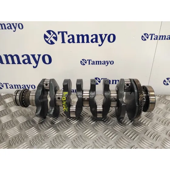 Ciguenal para Bmw Serie 3 Berlina (E46)
