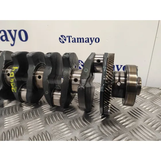 Ciguenal para Bmw Serie 3 Berlina (E46)