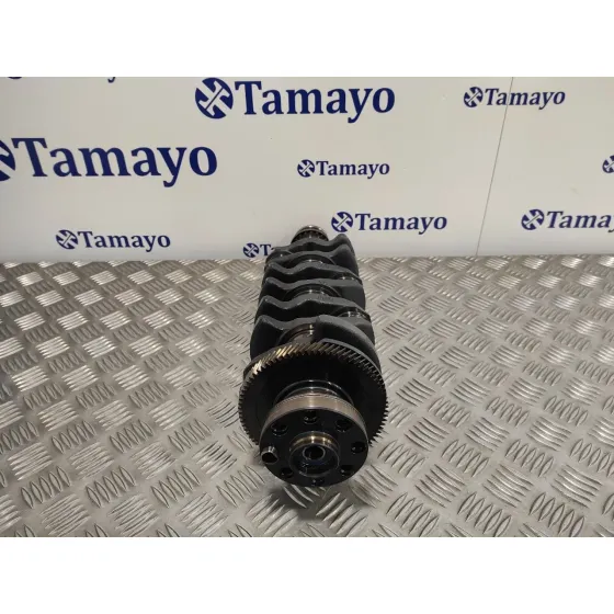 Ciguenal para Bmw Serie 3 Berlina (E46)