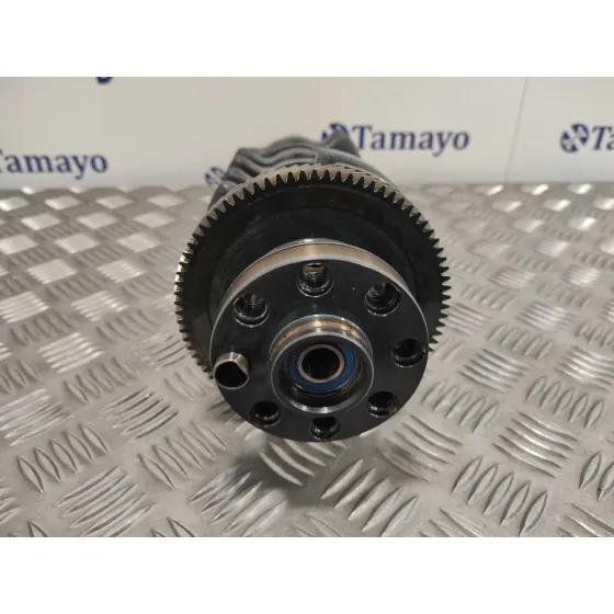 Ciguenal para Bmw Serie 3 Berlina (E46)