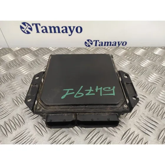 Centralita Motor Uce para Nissan Pathfinder (R51)