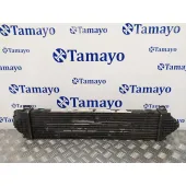 Intercooler para Ford S-Max (Ca1)