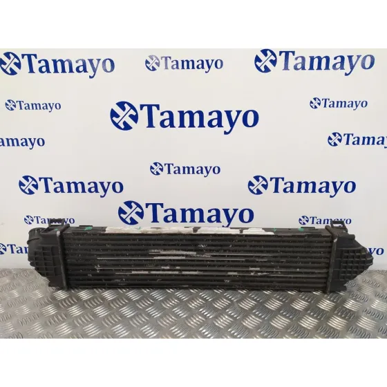 Intercooler para Ford S-Max (Ca1)