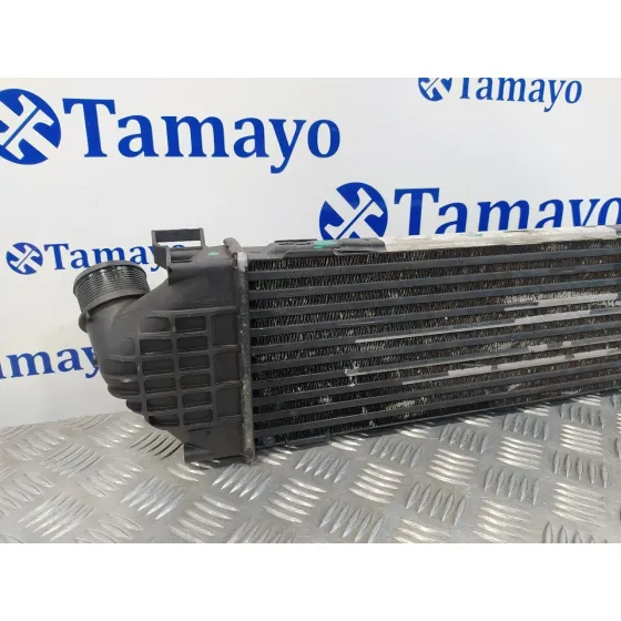 Intercooler para Ford S-Max (Ca1)