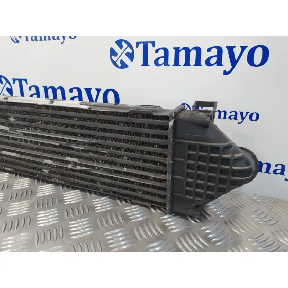 Intercooler para Ford S-Max (Ca1)