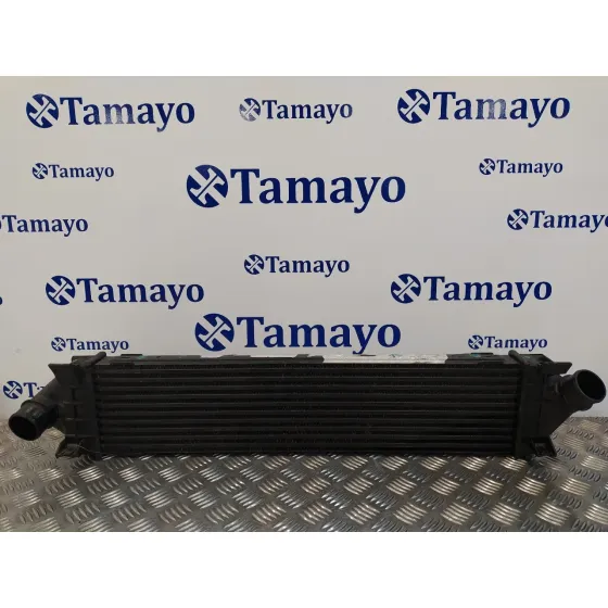 Intercooler para Ford S-Max (Ca1)