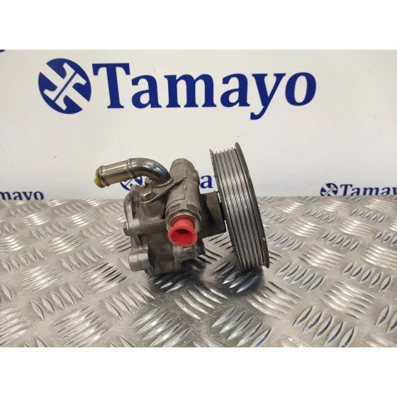 Bomba Direccion para Volkswagen Golf Iv Berlina (1J1)