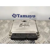 Centralita Motor Uce para Ford Galaxy (Vy)