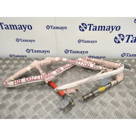 Airbag Cortina Delantero Derecho para Nissan Pathfinder (R51)