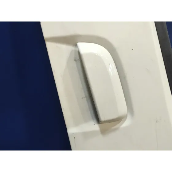 Puerta Trasera Derecha para Nissan Pathfinder (R51)