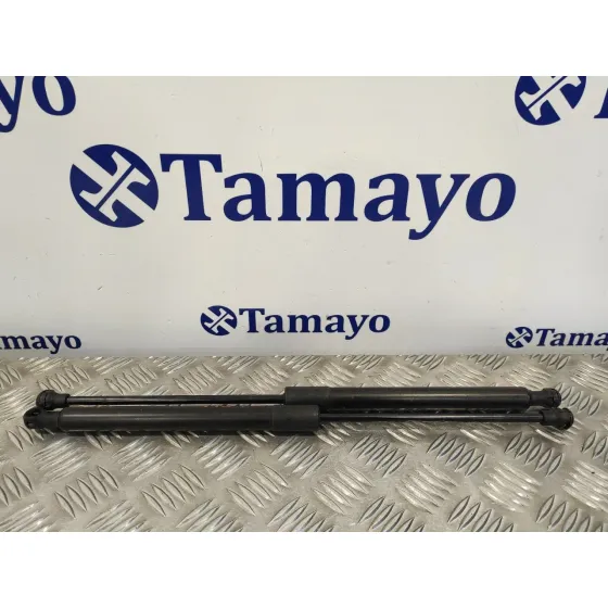 Amortiguadores Maletero / Porton para Peugeot 207 Sw