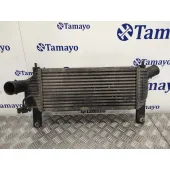 Intercooler para Nissan Pathfinder (R51)