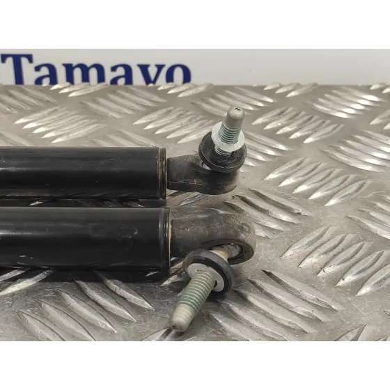 Amortiguadores Maletero / Porton para Jeep Gr.cherokee (Wj/Wg)