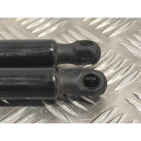 Amortiguadores Maletero / Porton para Mercedes-Benz Vito Tourer (447)