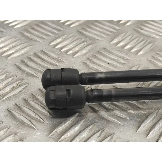 Amortiguadores Maletero / Porton para Mercedes-Benz Vito Tourer (447)