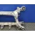 Puente Trasero para Bmw Serie 5 Berlina (E60)