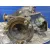 Diferencial Delantero para Nissan Terrano/Terrano.ii (R20)