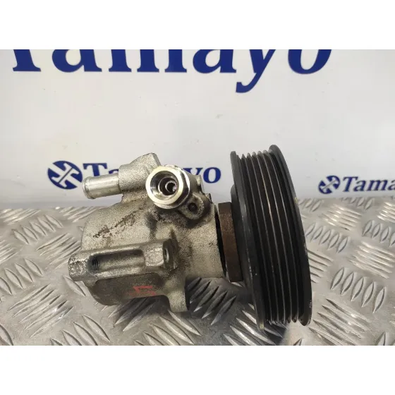 Bomba Direccion para Seat Ibiza (6K1)