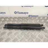 Amortiguadores Maletero / Porton para Peugeot 307 Cc (S2)