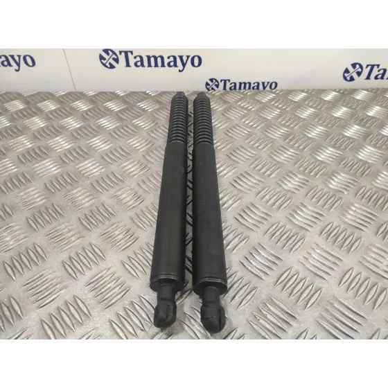 Amortiguadores Maletero / Porton para Peugeot 307 Cc (S2)