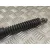 Amortiguadores Maletero / Porton para Peugeot 307 Cc (S2)