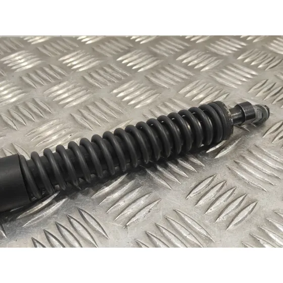 Amortiguadores Maletero / Porton para Peugeot 307 Cc (S2)