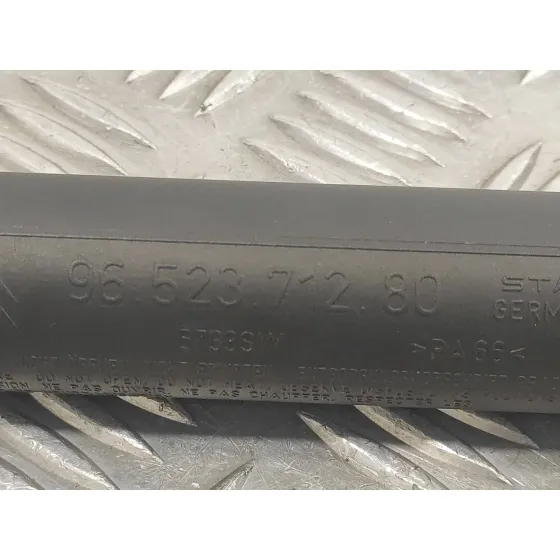 Amortiguadores Maletero / Porton para Peugeot 307 Cc (S2)