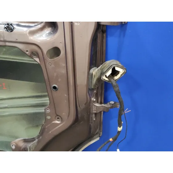 Puerta Delantera Izquierda para Volkswagen T5 Transporter (7E)