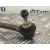 Cremallera Direccion para Peugeot 207