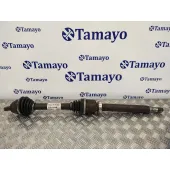Transmision Delantera Derecha para Ford Focus Berlina (Cap)