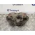 Pinza Freno Delantera Derecha para Ford Kuga (Cbs)
