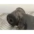 Brazo Suspension Inferior Delantero Derecho para Ford Transit Caja Cerrada '06