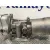 Enfriador Aceite Motor para Seat Leon (1P1)