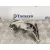 Soporte Filtro Gasoil para Fiat Scudo Furgon (272)