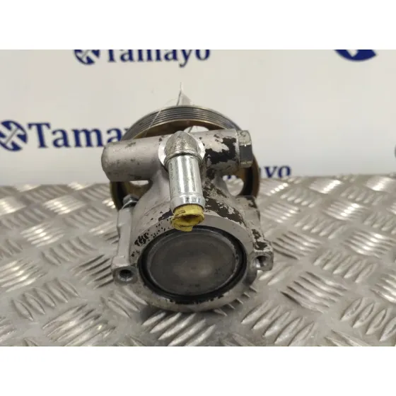 Bomba Direccion para Peugeot Partner (S1)