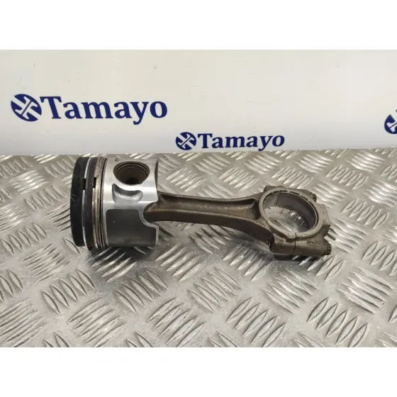 Piston para Seat Leon (1P1)